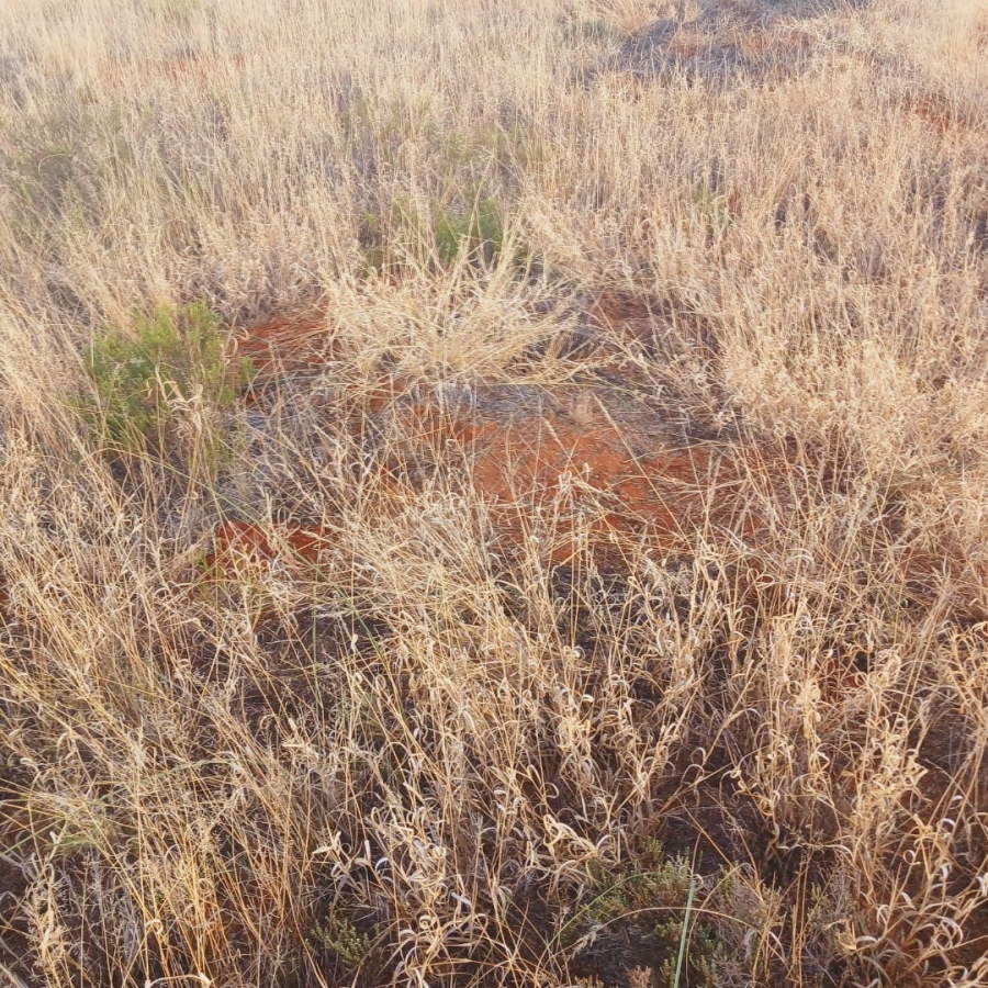  Bedroom Property for Sale in Jacobsdal Rural Free State